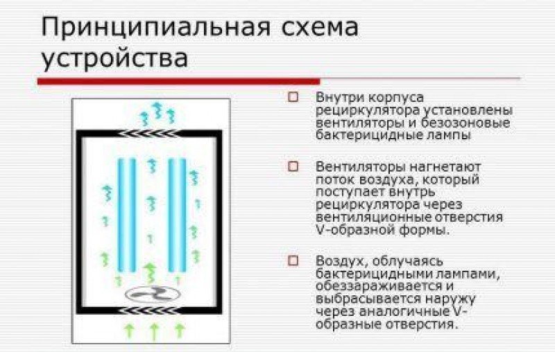 Ультрафиолетовая лампа