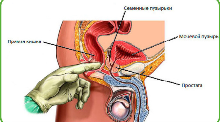 Dizajn-bez-nazvaniya.png