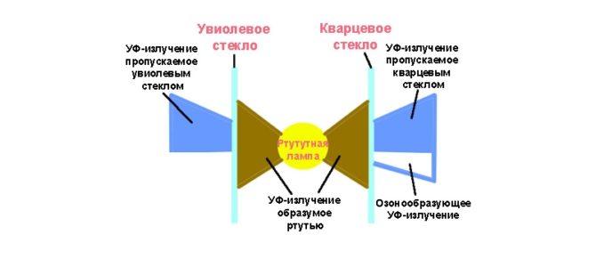 В чём разница между ультрафиолетовой и кварцевой лампами